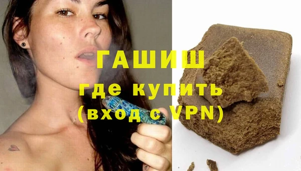 шишки Гусиноозёрск